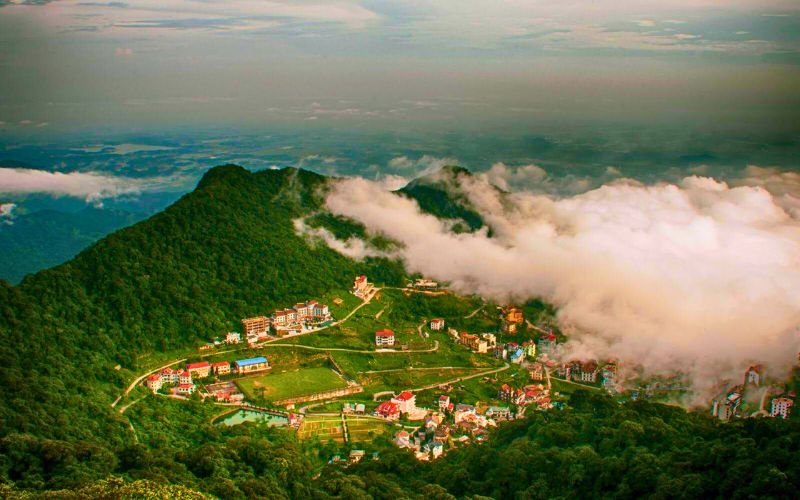 Cẩm Nang Trekking Tam Đảo Từ A Đến Z: Chinh Phục "Đà Lạt Của Miền Bắc" Gioi thieu ve Tam Dao