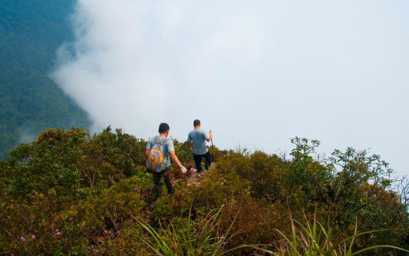 Cẩm Nang Trekking Tam Đảo Từ A Đến Z: Chinh Phục "Đà Lạt Của Miền Bắc" Kinh nghiem trekking Tam Dao