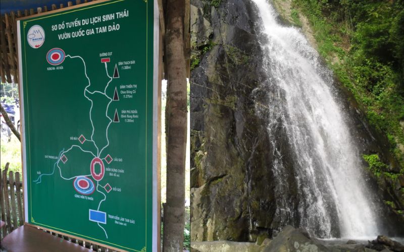 Cẩm Nang Trekking Tam Đảo Từ A Đến Z: Chinh Phục "Đà Lạt Của Miền Bắc" Lua chon cung duong trekking