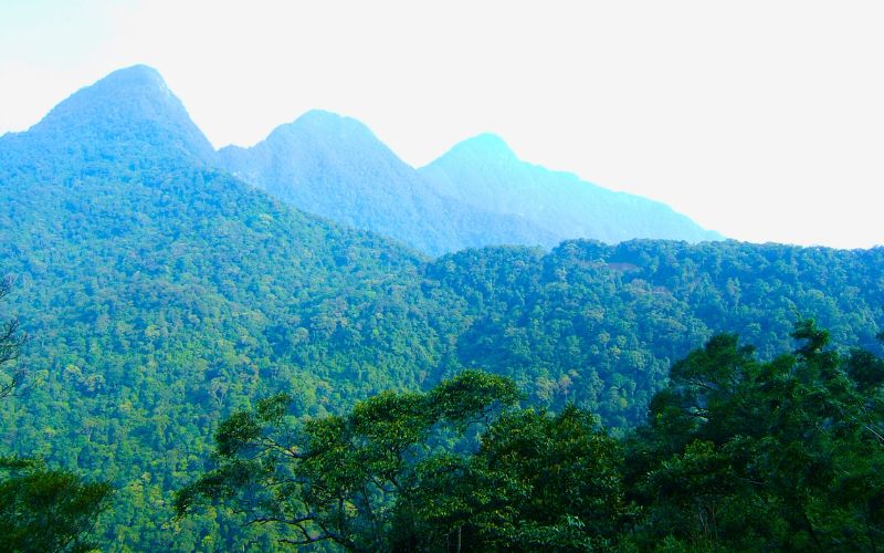 Cẩm Nang Trekking Tam Đảo Từ A Đến Z: Chinh Phục "Đà Lạt Của Miền Bắc" Tam Dao co gi dac biet