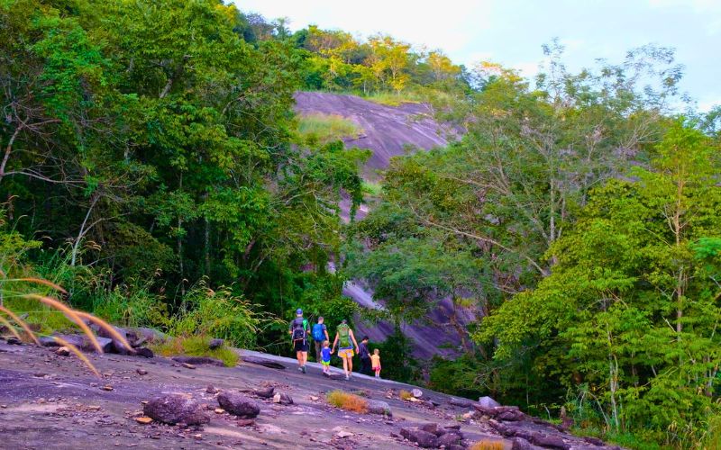 Trekking Thác Mai: Hành Trình Chinh Phục Thiên Nhiên Hoang Dã Nơi Miền Đông Nam Bộ Thoi tiet tai Thac Mai