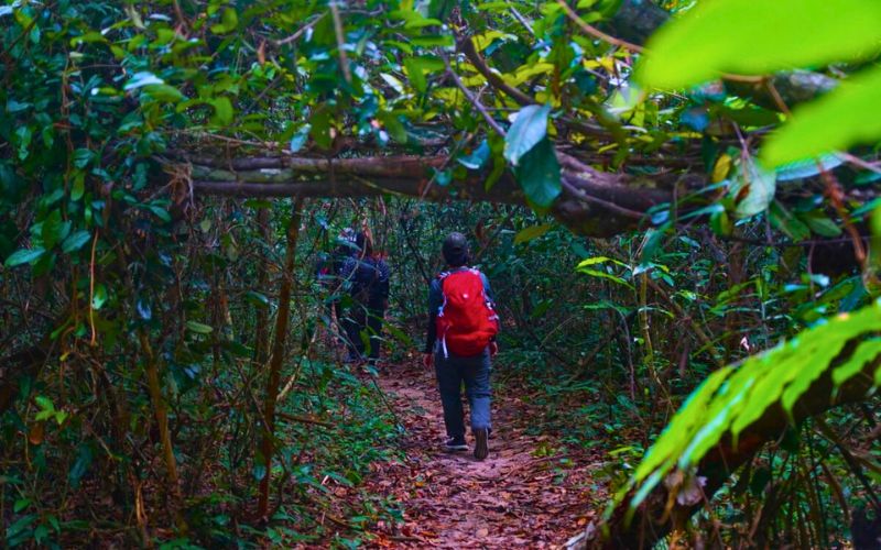 Trekking Thác Mai: Hành Trình Chinh Phục Thiên Nhiên Hoang Dã Nơi Miền Đông Nam Bộ Vi sao nen chon trekking Thac Mai