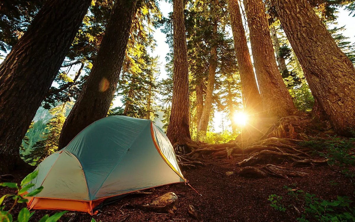 Camping Là Gì? Giải đáp từ A đến Z – Cẩm nang vật dụng cắm trại bỏ túi cho người mới!