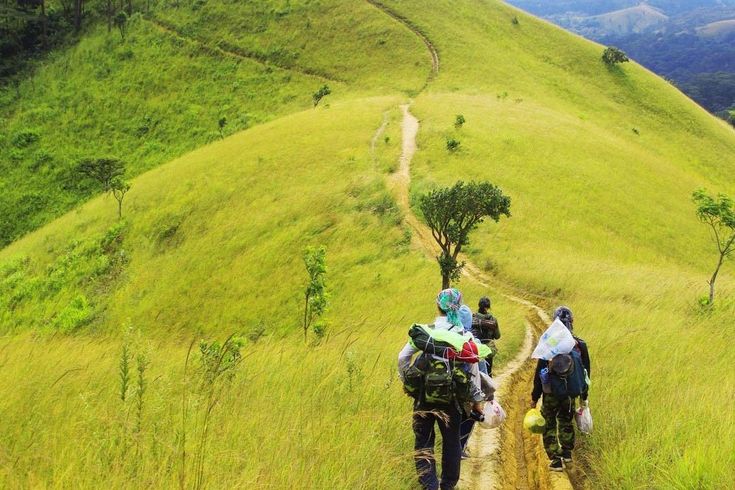 Top 5 Cung Đường Trekking Miền Nam Đẹp "Quên Lối Về" 2025 image tour trekking ta nang phan dung 4