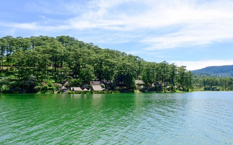 Top 3 Cung Đường Trekking Hồ Tuyền Lâm Đẹp Nhất Cung Duong Ven Ho Tuyen Lam