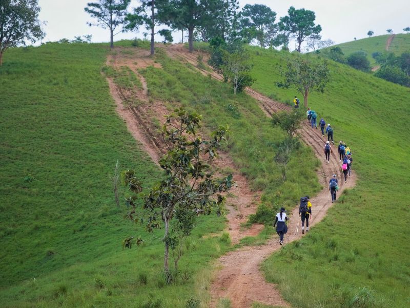 Kinh nghiệm trekking Tà Năng - Phan Dũng chi tiết từ A đến Z Di chuyen