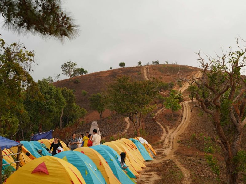 Kinh nghiệm trekking Tà Năng - Phan Dũng chi tiết từ A đến Z Ngu nghi