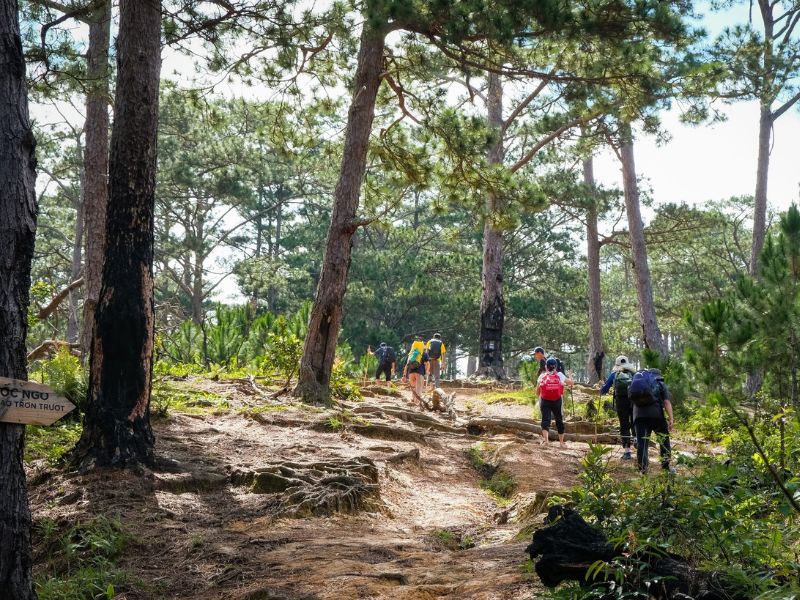 Kinh nghiệm trekking Tà Năng - Phan Dũng chi tiết từ A đến Z Nhung luu y khac