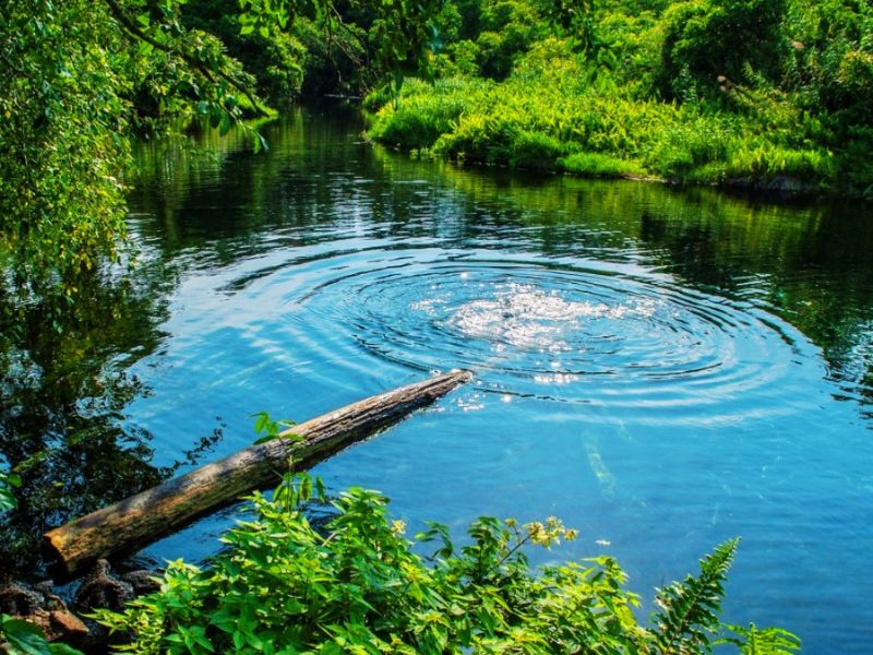 Kinh nghiệm trekking Chư Bluk chi tiết từ A đến Z an uong 1