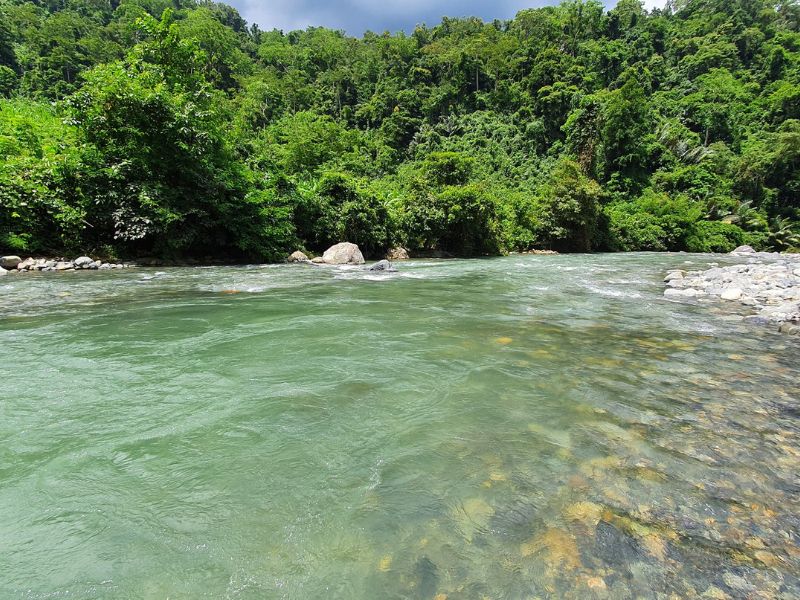 Lịch trình trekking Tà Giang 2 Ngày 1 Đêm: Chinh Phục Cung Đường Biển Đẹp Như Mơ chi phi du kien cho 1 nguoi