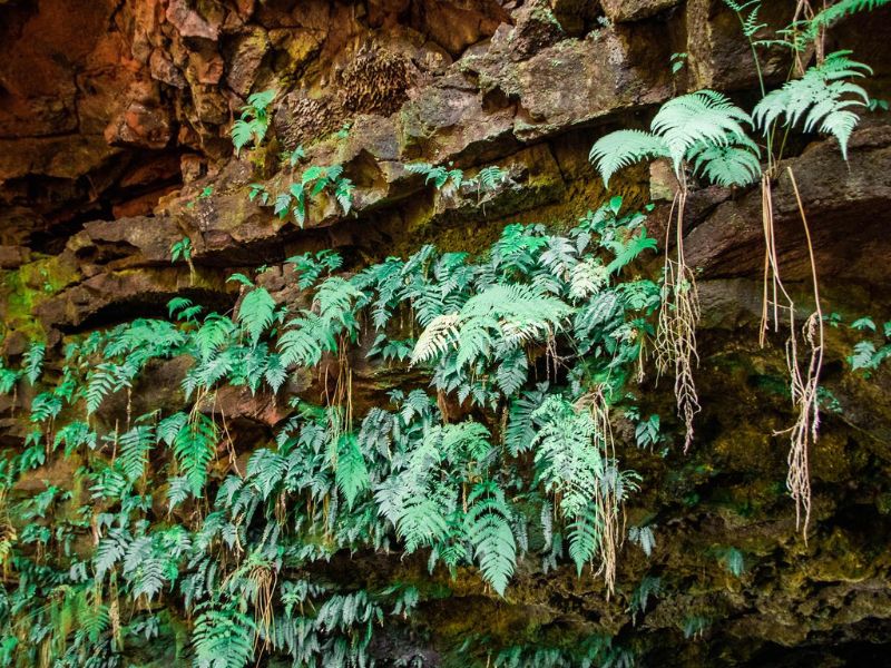 Kinh nghiệm trekking Chư Bluk chi tiết từ A đến Z chuan bi the luc 1