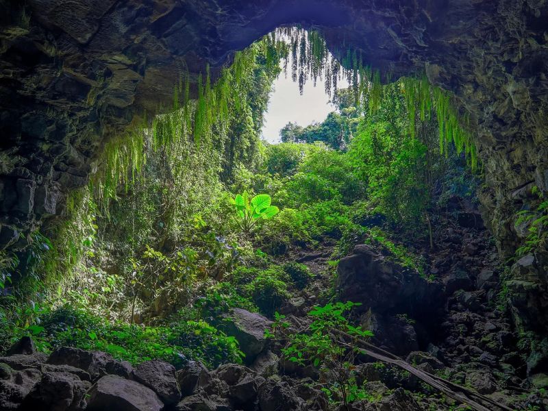Giải Đáp Thắc Mắc Chư Bluk Về Chi Phí, Thời Điểm co the tu trekking chu bluk hay khong