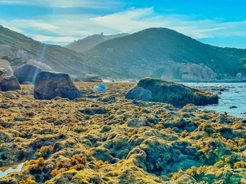 Cung Đường Trekking Cực Đông: Hướng Dẫn Chi Tiết Cho Newbie huong dan chi tiet cung duong trekking phuong an trekking hoan toan