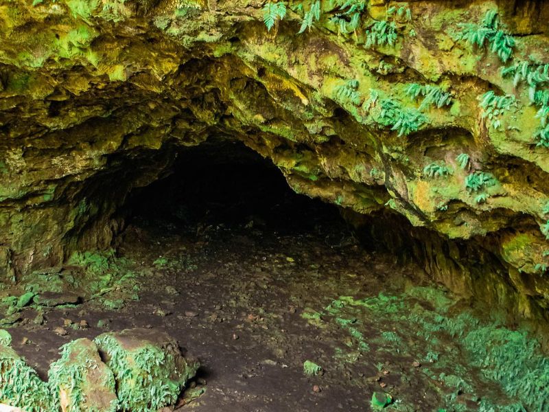Kinh nghiệm trekking Chư Bluk chi tiết từ A đến Z lua chon trang thiet bi 1