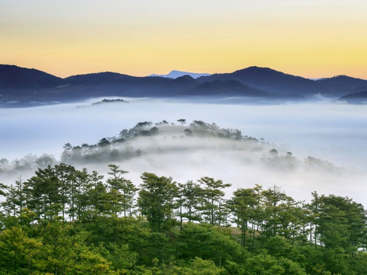 Trekking Langbiang: Hướng Dẫn Toàn Diện Từ A-Z (2025)