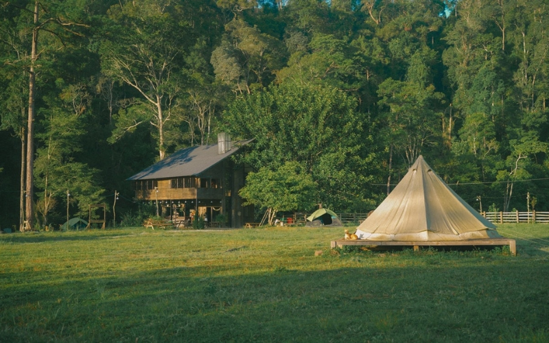 Top 5 Cung Đường Trekking Miền Nam Đẹp "Quên Lối Về" 2025 Dia Diem Cam Trai Da Lat View Dep Chill Het Nac – Tim Dau Cho Chuan 11