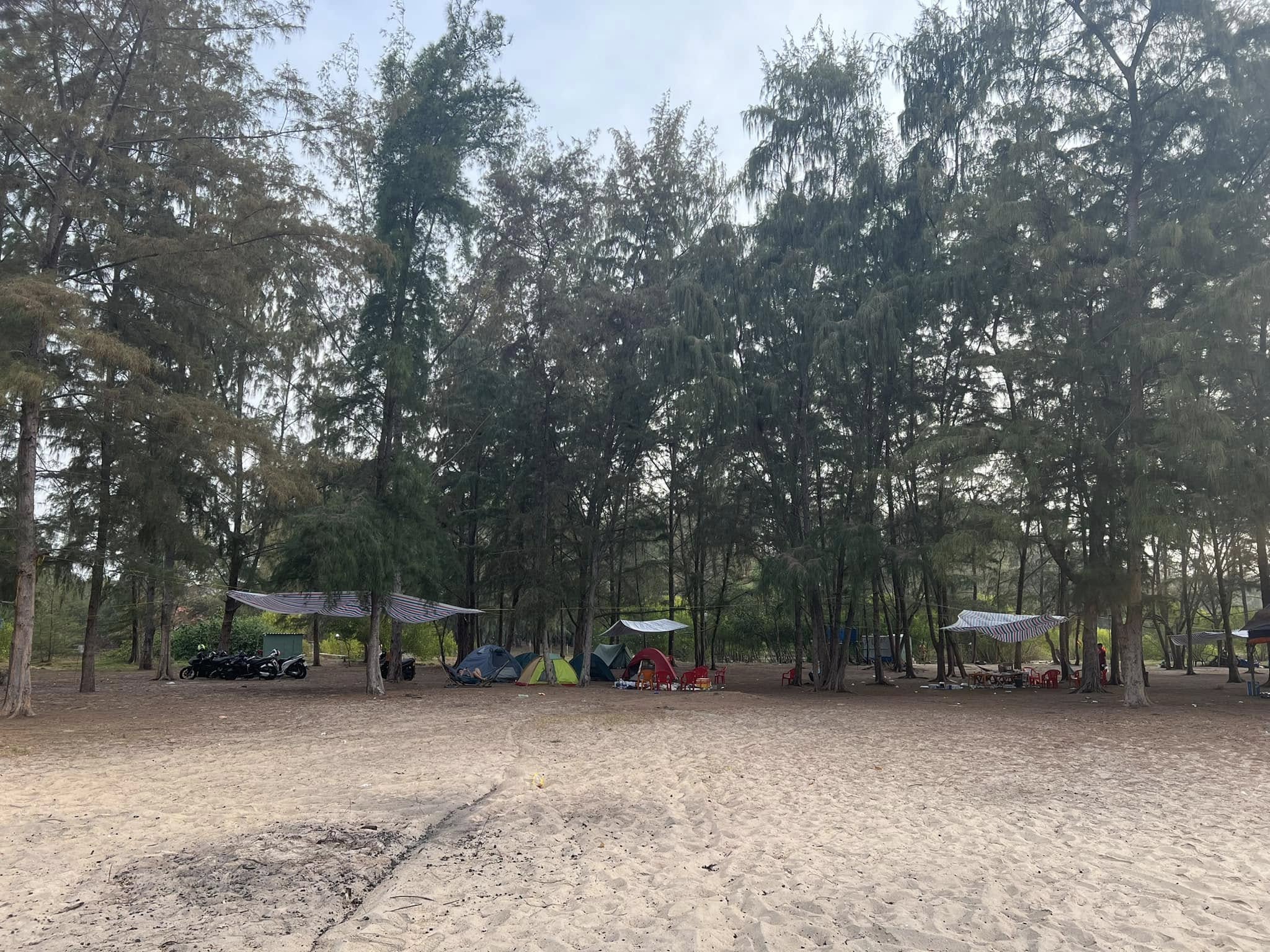 Cuối Tuần Đi Đâu Camping? 20+ Khu Cắm Trại Gần Sài Gòn bai camping chi mai ho coc