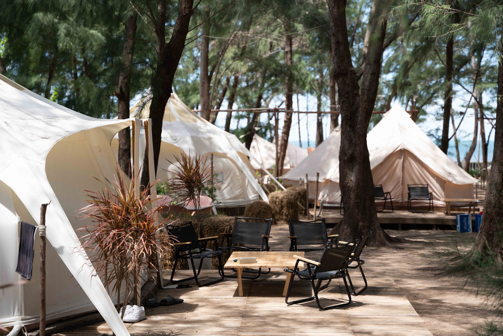 Cuối Tuần Đi Đâu Camping? 20+ Khu Cắm Trại Gần Sài Gòn khu glamping Pi